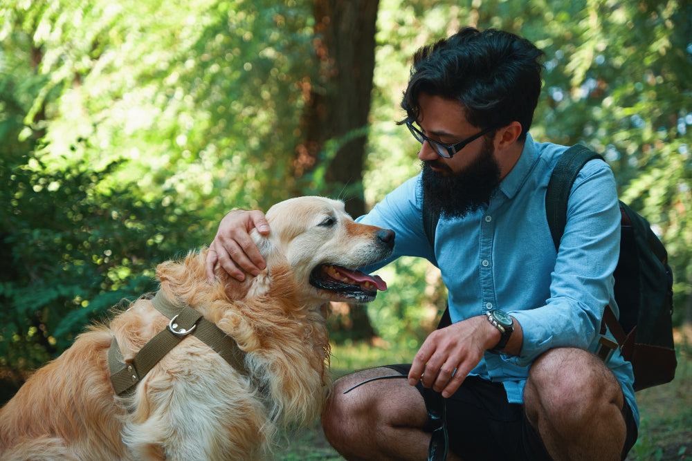 The Cuddle Buds Story: From One Pet Parent to Another