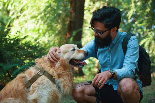 The Cuddle Buds Story: From One Pet Parent to Another