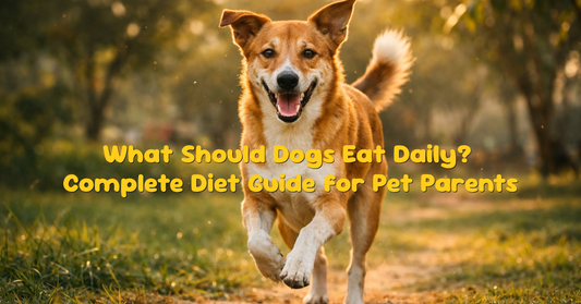 What Should Dogs Eat Daily? Complete Diet Guide for Pet Parents