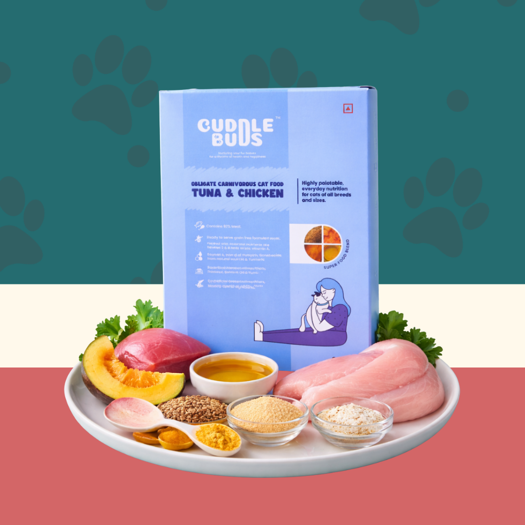 Cat Food Trial Pack (3 Meals + 1 Bone Broth)