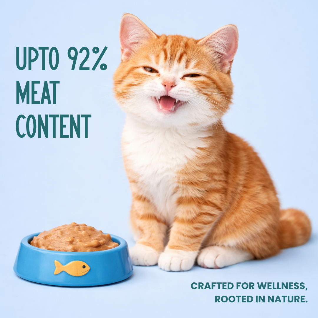 Cat Food Trial Pack (3 Meals + 1 Bone Broth)