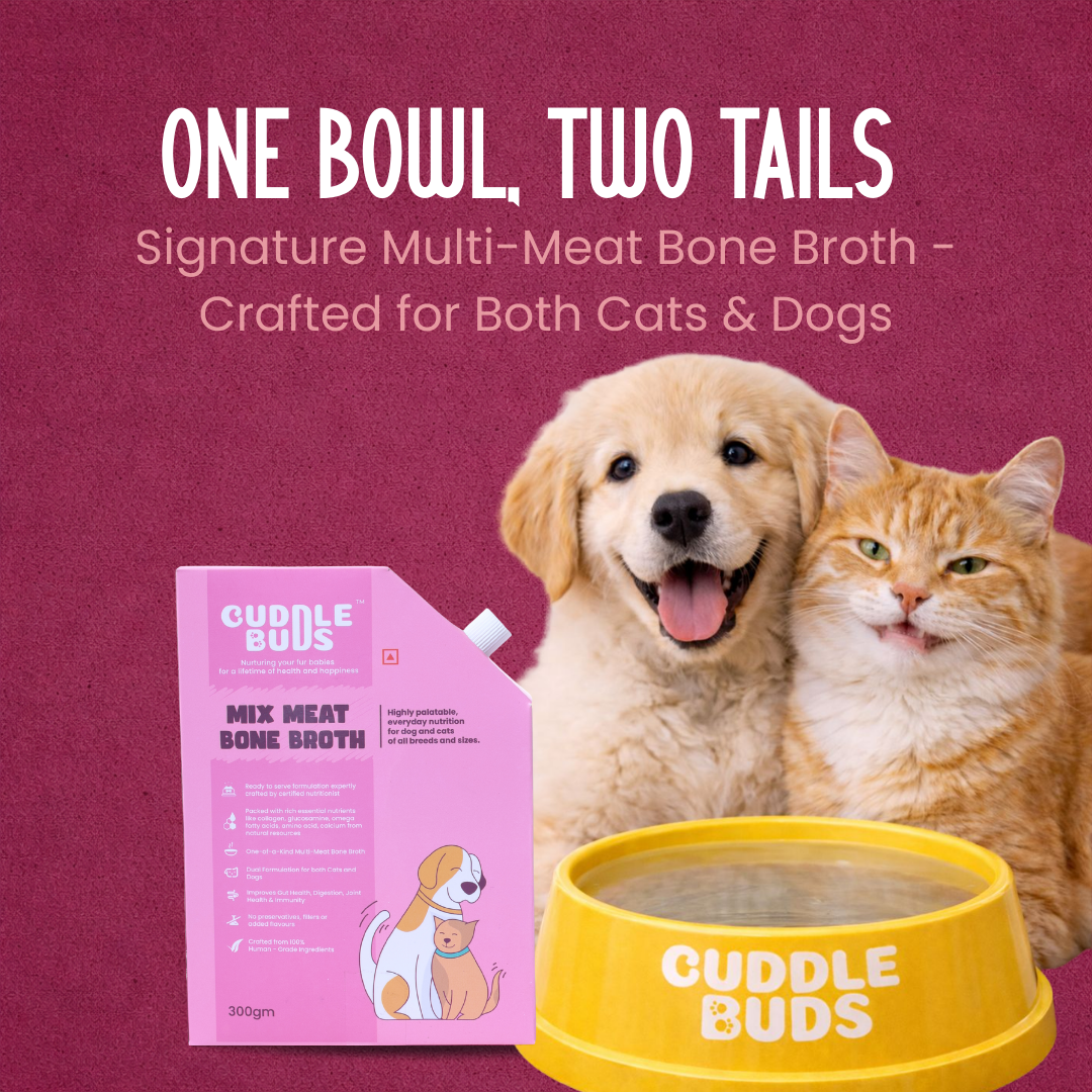 Mix Meat Bone Broth for Dogs & Cats