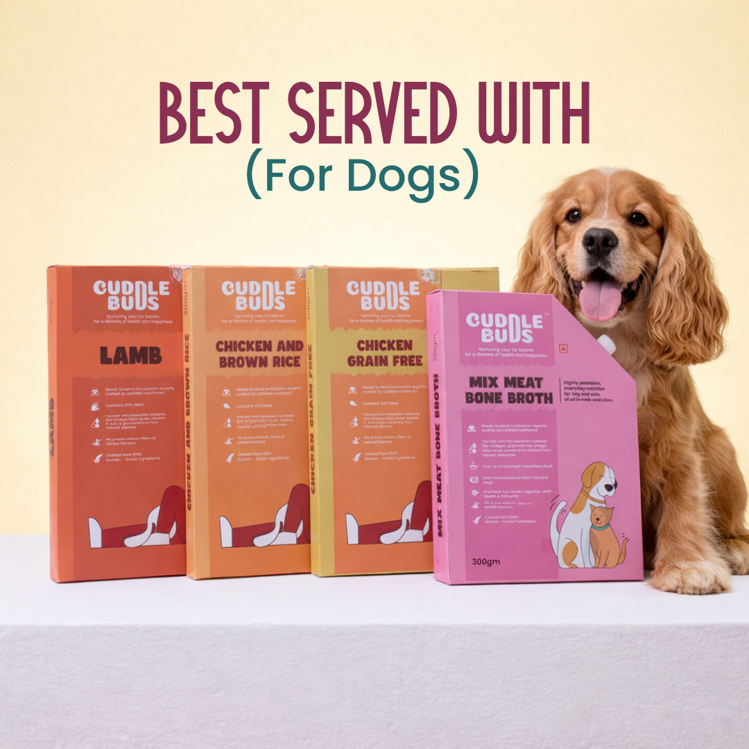 Mix Meat Bone Broth for Dogs & Cats