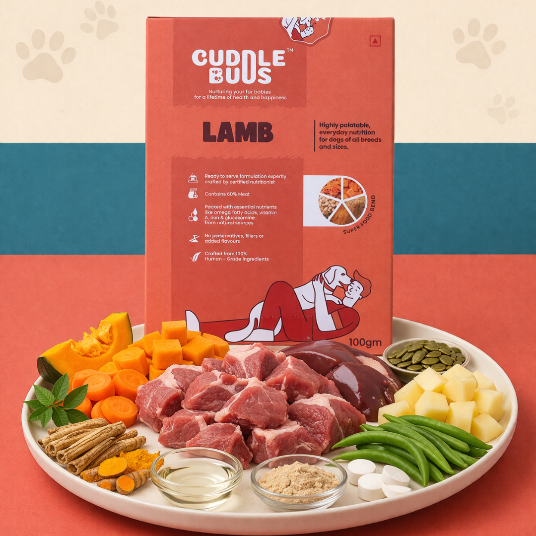 Dog Food Trial Pack (3 Meals + 1 Bone Broth)
