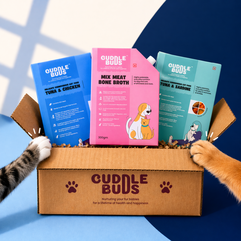 Cat Meal and Combos