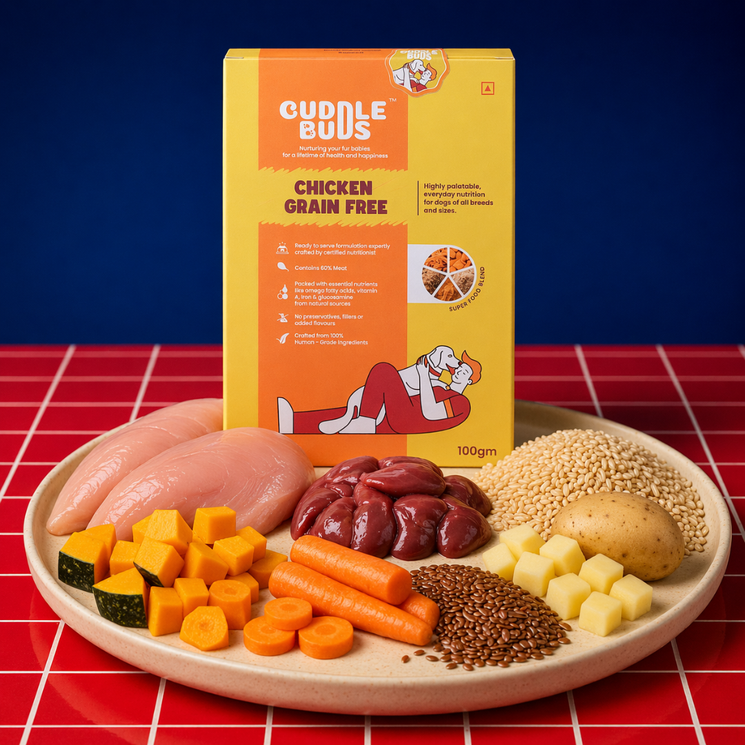 Dog Food Variety Meal Pack