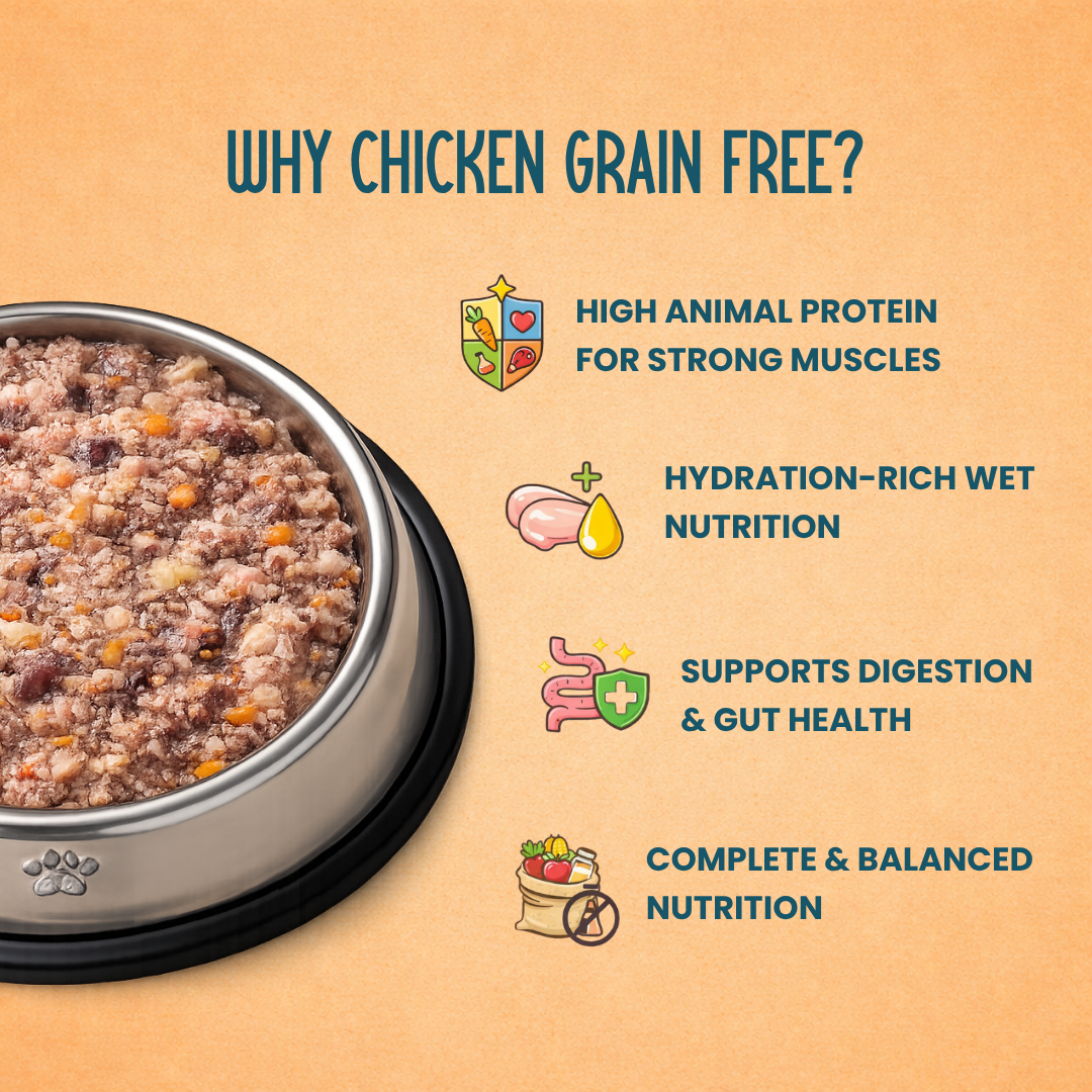 Grain-Free Chicken Dog Food