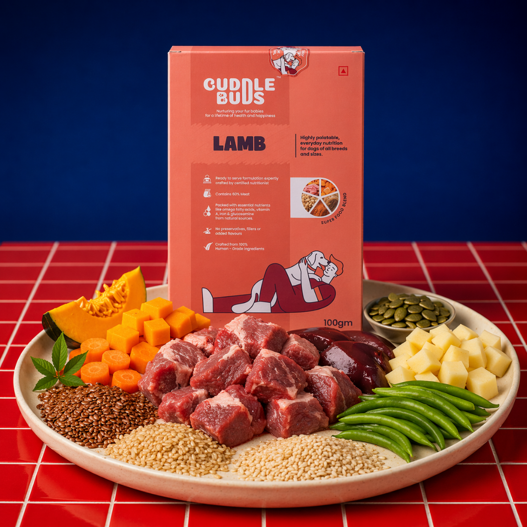 Dog Food Variety Meal Pack