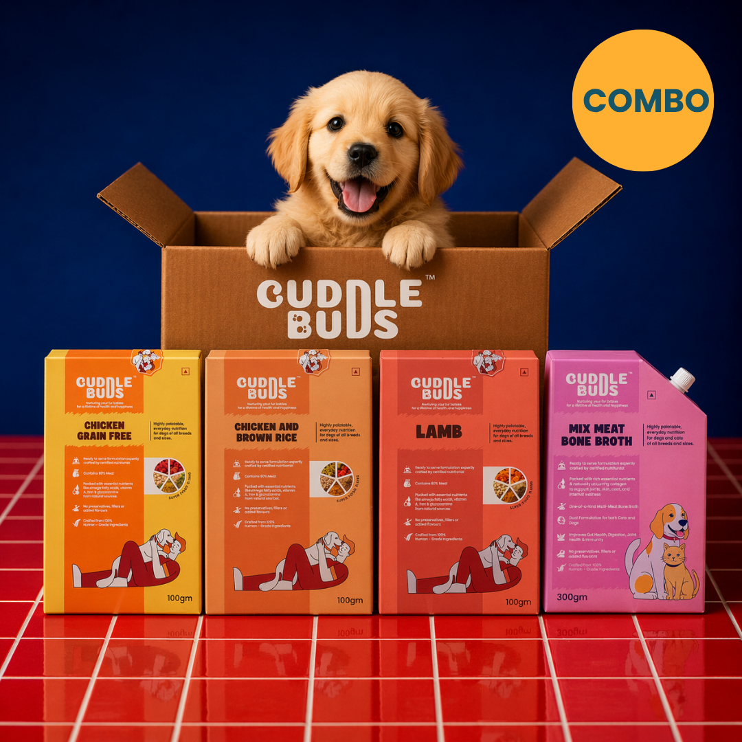 Dog Food Variety Meal Pack &  Bone Broth