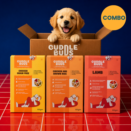 Dog Food Variety Meal Pack