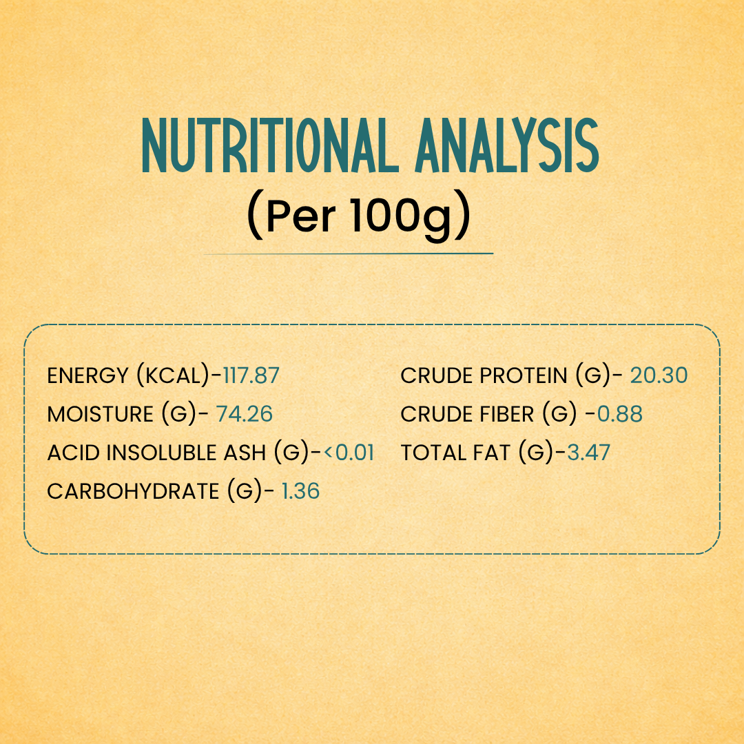 Dog Food Trial Pack (3 Meals + 1 Bone Broth)
