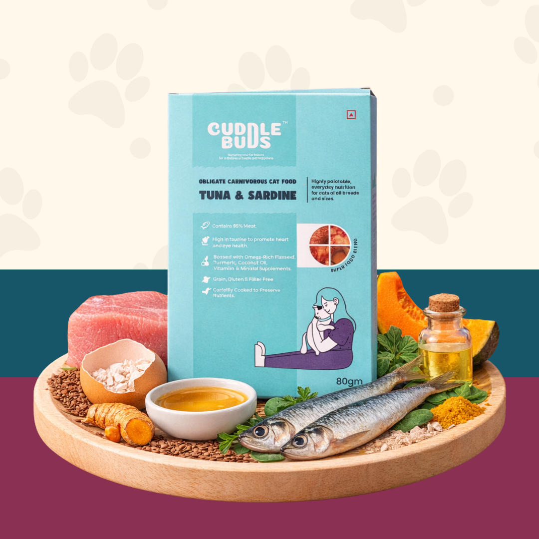 Cat Food Trial Pack (3 Meals + 1 Bone Broth)