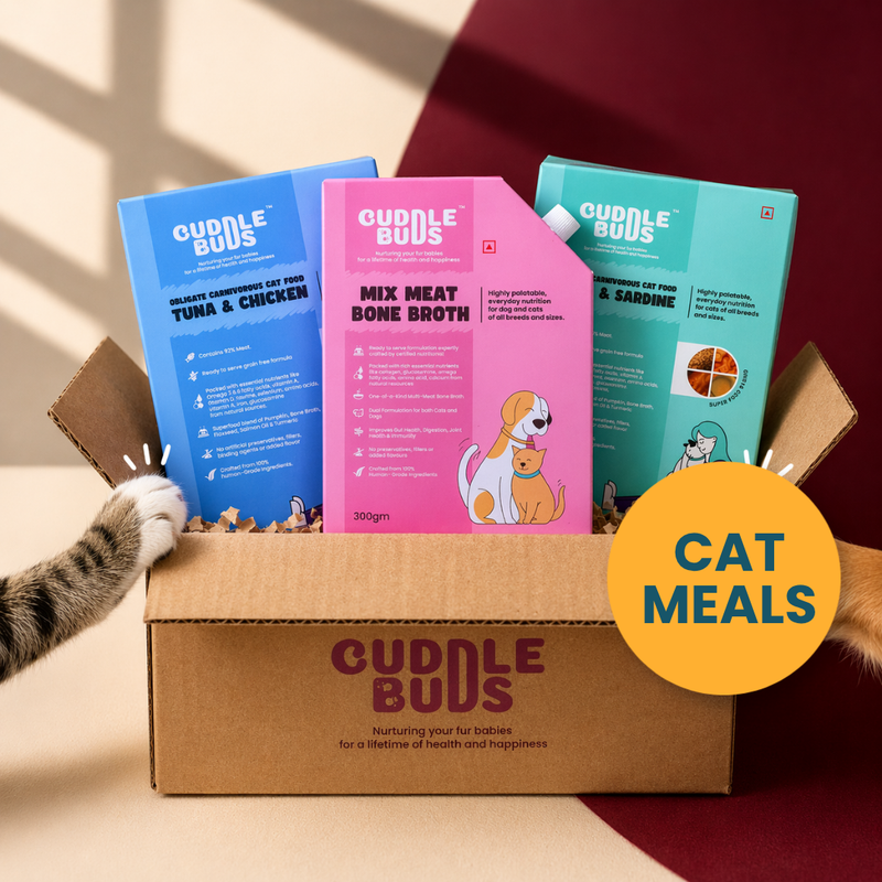 Cat Meals & Combos