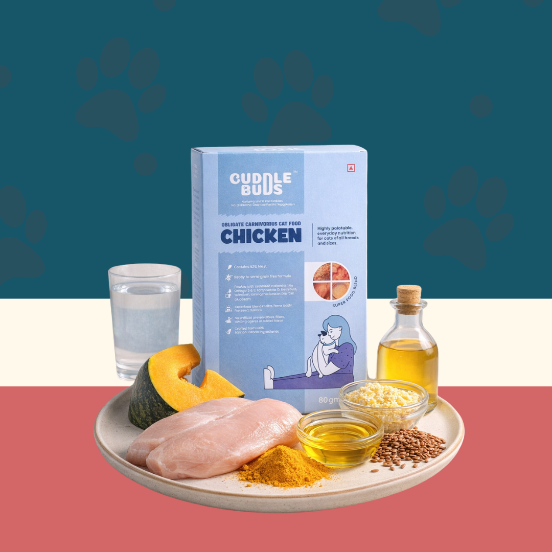 Cat Food Trial Pack (3 Meals + 1 Bone Broth)