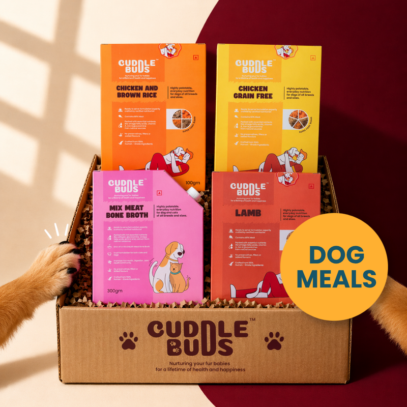 Dog Meals & Combos