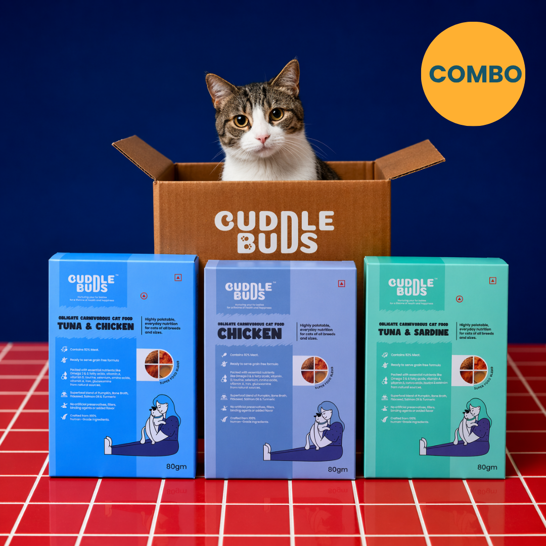 Cat Food Variety Meal Pack