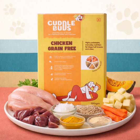 Dog Food Trial Pack (3 Meals + 1 Bone Broth)