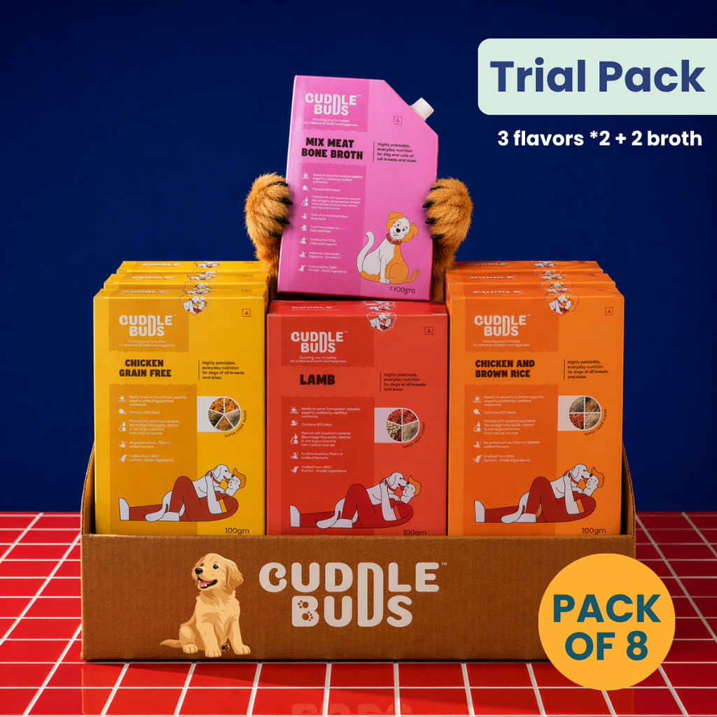 Dog Food Trial Pack (6 Meals + 2 Bone Broth)
