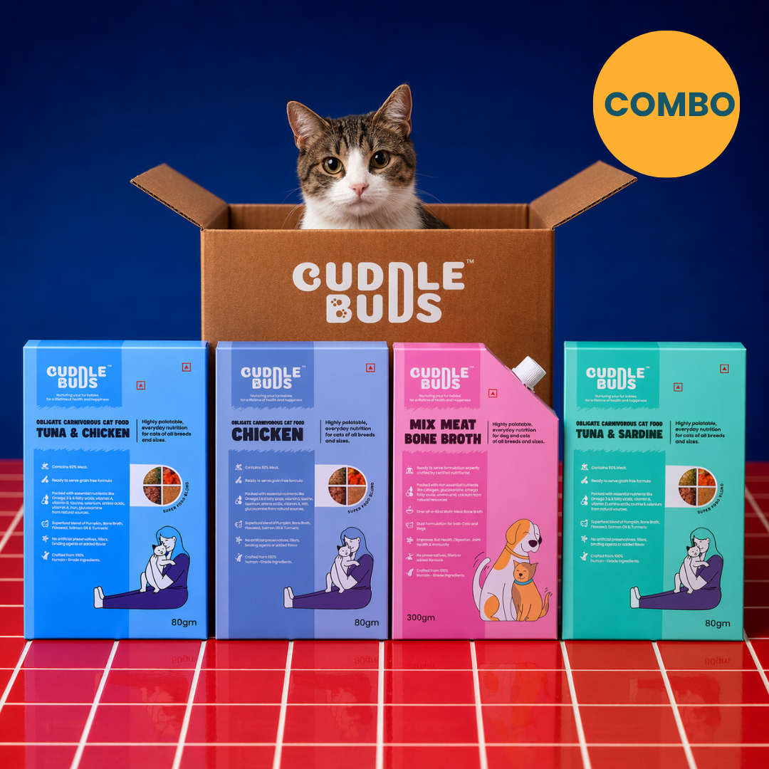 Cat Variety Pack + Bone Broth