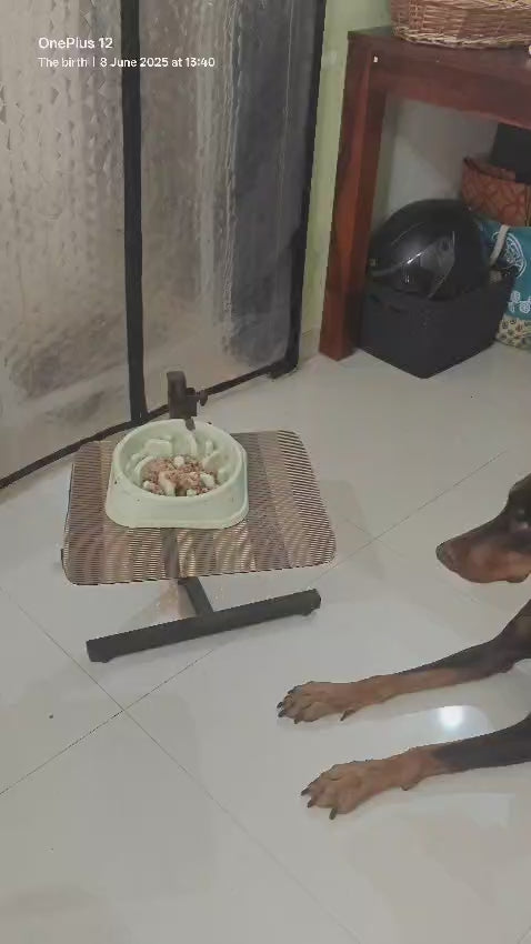 WhatsApp Video 2025-06-10 at 9.24.47 PM.mp4